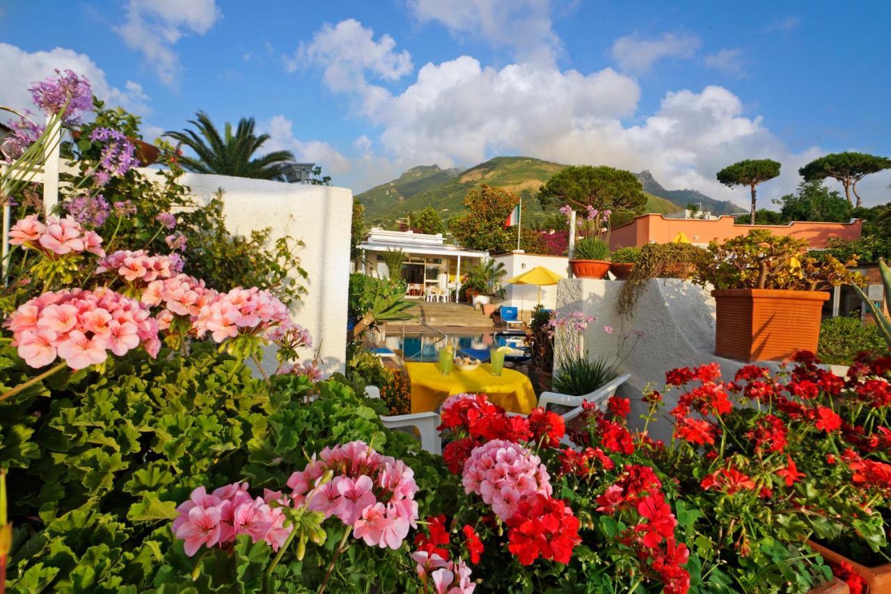 Pensione Mena Forio di Ischia Esterno foto