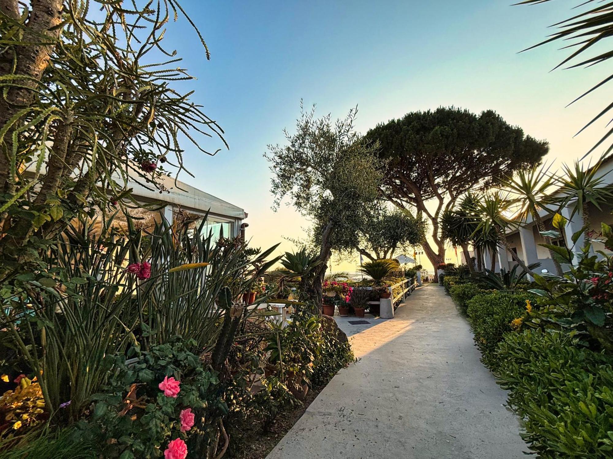 Pensione Mena Forio di Ischia Esterno foto