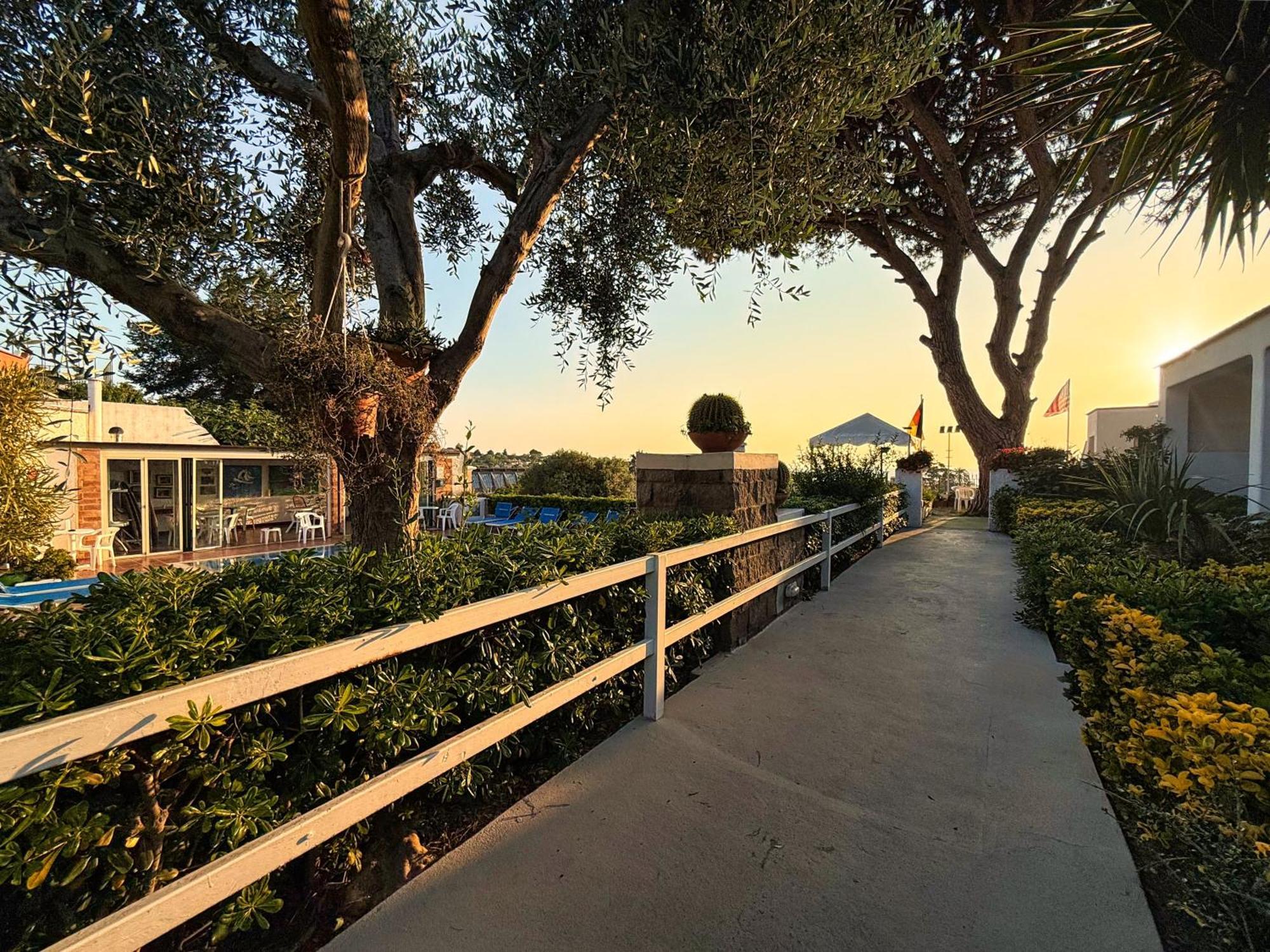 Pensione Mena Forio di Ischia Esterno foto